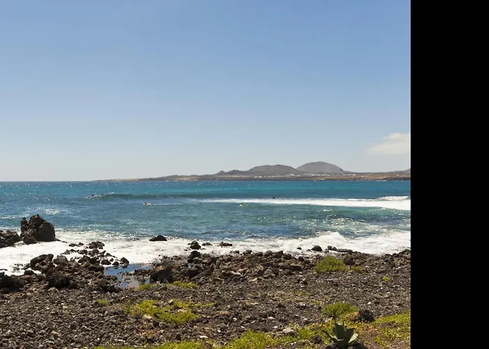 Erizo With Sea Views By Pvl